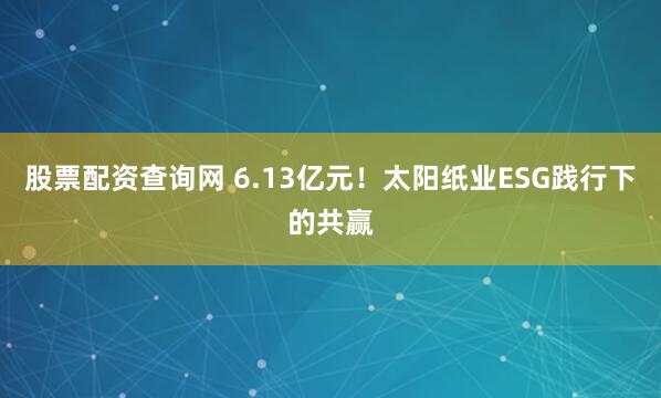 股票配资查询网 6.13亿元！太阳纸业ESG践行下的共赢